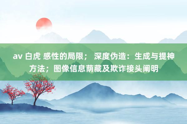 av 白虎 感性的局限； 深度伪造：生成与提神方法；图像信息荫藏及欺诈接头阐明