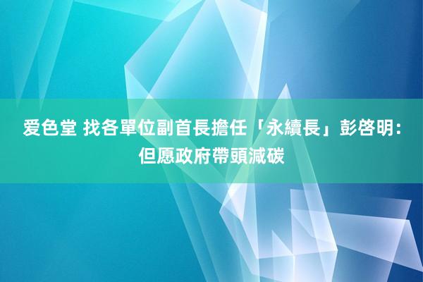 爱色堂 找各單位副首長擔任「永續長」　彭啓明：但愿政府帶頭減碳