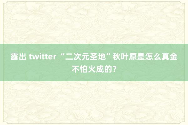 露出 twitter “二次元圣地”秋叶原是怎么真金不怕火成的？