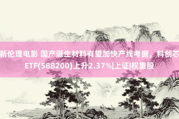 最新伦理电影 国产诞生材料有望加快产线考据，科创芯片ETF(588200)上升2.37%|上证|权重股