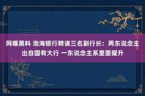 网曝黑料 渤海银行聘请三名副行长：两东说念主出自国有大行 一东说念主系里面擢升