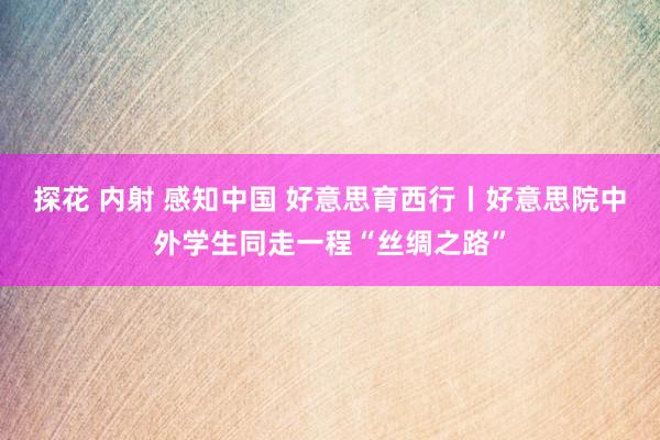 探花 内射 感知中国 好意思育西行丨好意思院中外学生同走一程“丝绸之路”