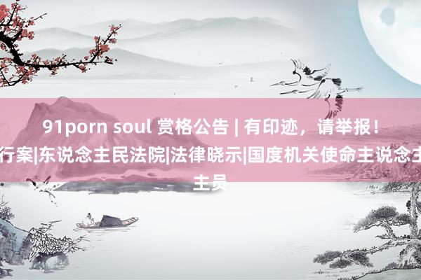 91porn soul 赏格公告 | 有印迹，请举报！|实行案|东说念主民法院|法律晓示|国度机关使命主说念主员