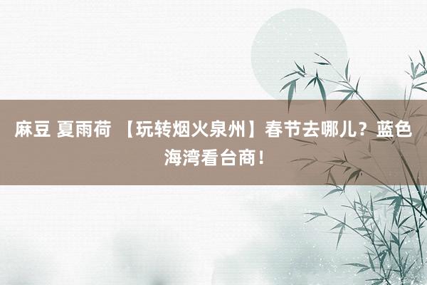 麻豆 夏雨荷 【玩转烟火泉州】春节去哪儿？蓝色海湾看台商！