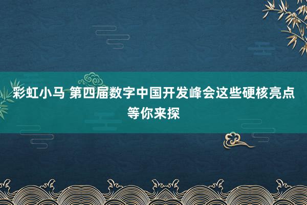 彩虹小马 第四届数字中国开发峰会这些硬核亮点等你来探