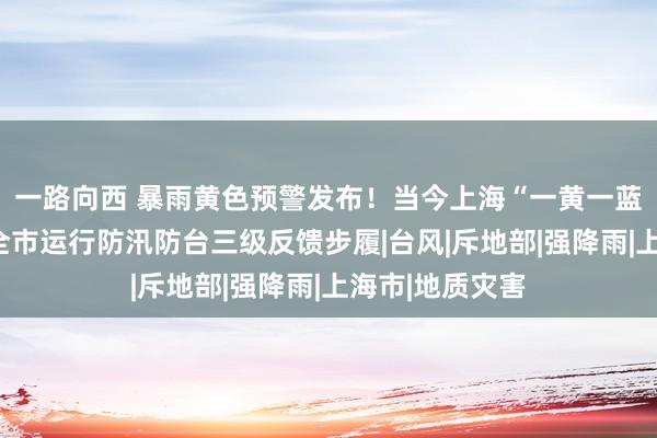 一路向西 暴雨黄色预警发布！当今上海“一黄一蓝”预警高挂，全市运行防汛防台三级反馈步履|台风|斥地部|强降雨|上海市|地质灾害