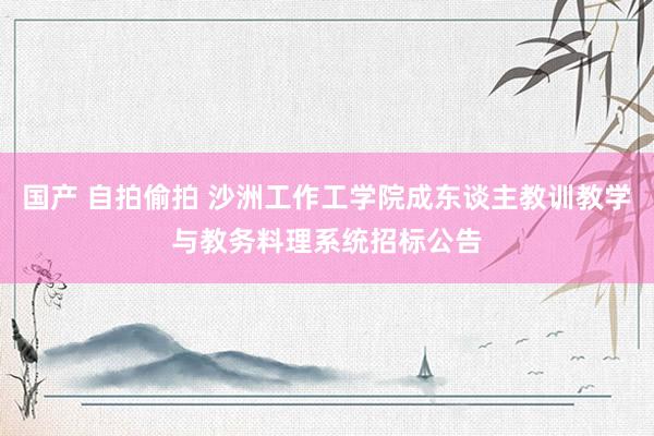 国产 自拍偷拍 沙洲工作工学院成东谈主教训教学与教务料理系统招标公告