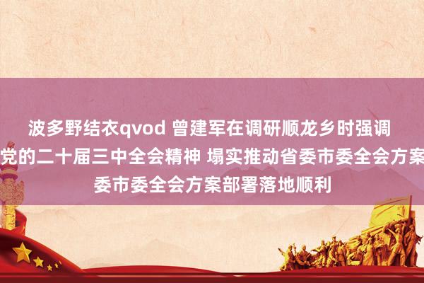 波多野结衣qvod 曾建军在调研顺龙乡时强调 全面学习贯彻党的二十届三中全会精神 塌实推动省委市委全会方案部署落地顺利